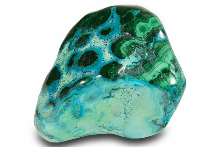 Vibrant Polished Malachite with Chrysocolla - DR Congo #305193